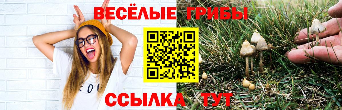 Галлюциногенные грибы GOLDEN TEACHER  Вход с VPN  Галлюциногенные грибы мухоморы  Протвино 